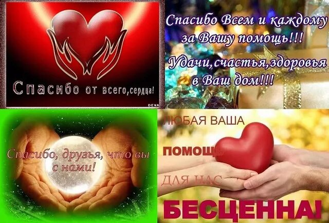 Помощь каждого важна. Очень нужна ваша помощь. Поможем вместе. Помогите пожалуйста закрыть сбор. Помощь каждого важна.