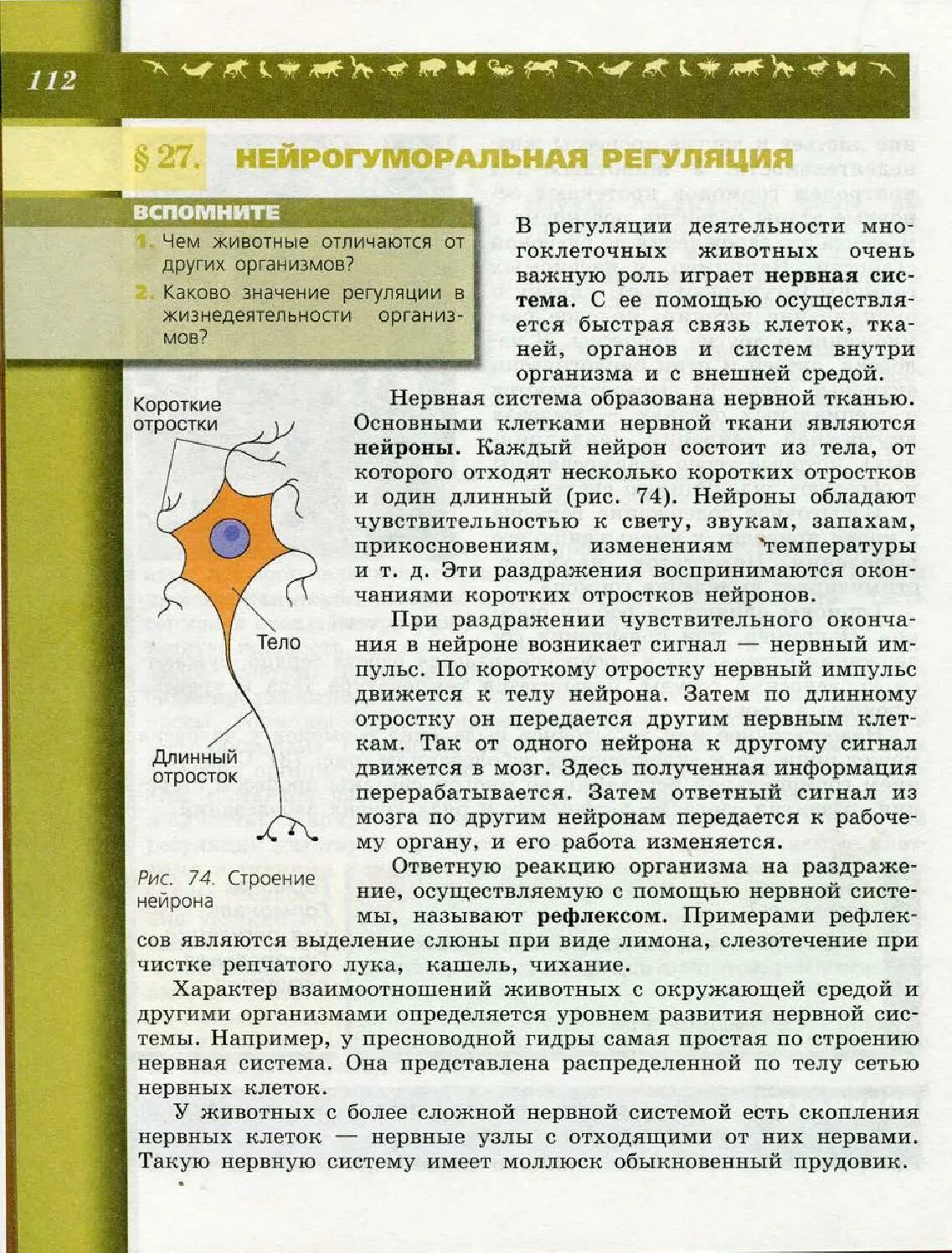 Учебник по биологии 6 класс Пасечник грибы. Биология Пасечникова 6 класс учебник. Биология 6 класс учебник Пасечник. Биология 6 класс Пасечник 6 параграф. Биология 6 класс учебник пасечник 2023 читать