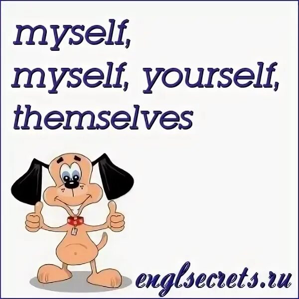 Himself yourself themselves itself myself herself. Myself yourself themselves. Myself yourself herself themselves. Themselves yourself.