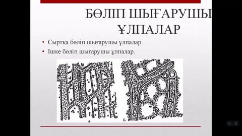 Алексис Адамстың секс фильмі