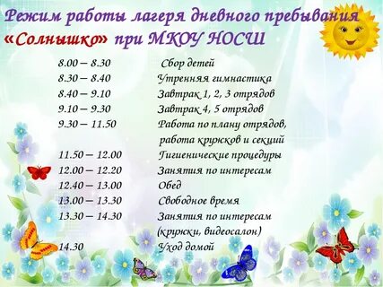 Заявление в лагерь дневного пребывания