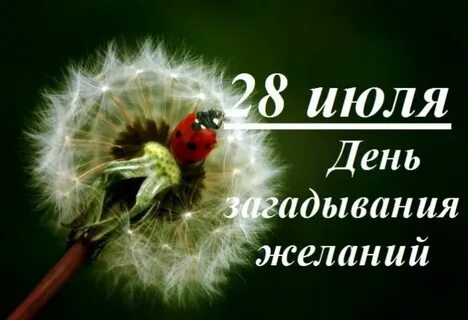Желание праздника