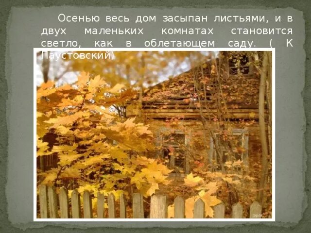 Паустовский осенние. В саду уже поселилась осень Паустовский. Осенью весь дом засыпан листьями. Паустовский произведения про осень. Паустовский Золотая осень.