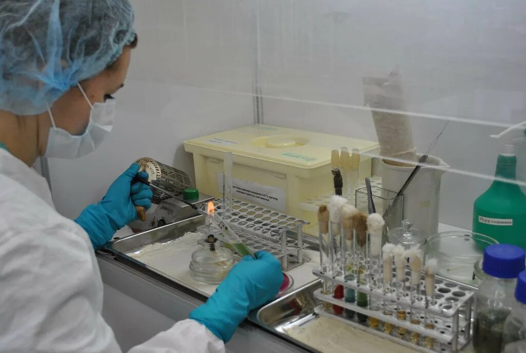 Пакеты стерильные для отбора проб пищевых продуктов. Отбор проб микробиология. Методы отбора проб пищевой продукции. Лабораторные исследования почвы. Исследование молока в лаборатории.