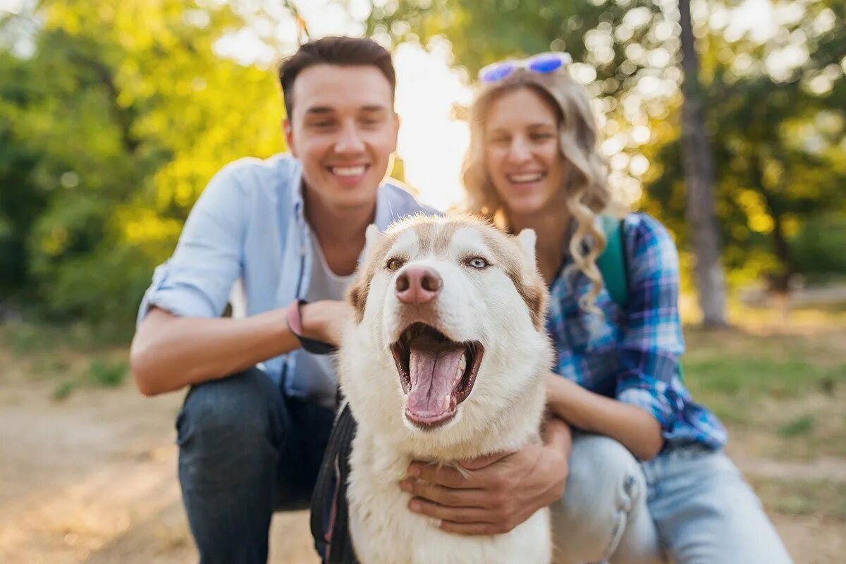 Friends for pets. Счастливая собака с хозяином. Веселый человек с собакой. Счастливый человек с собакой. Радостный человек с собакой.