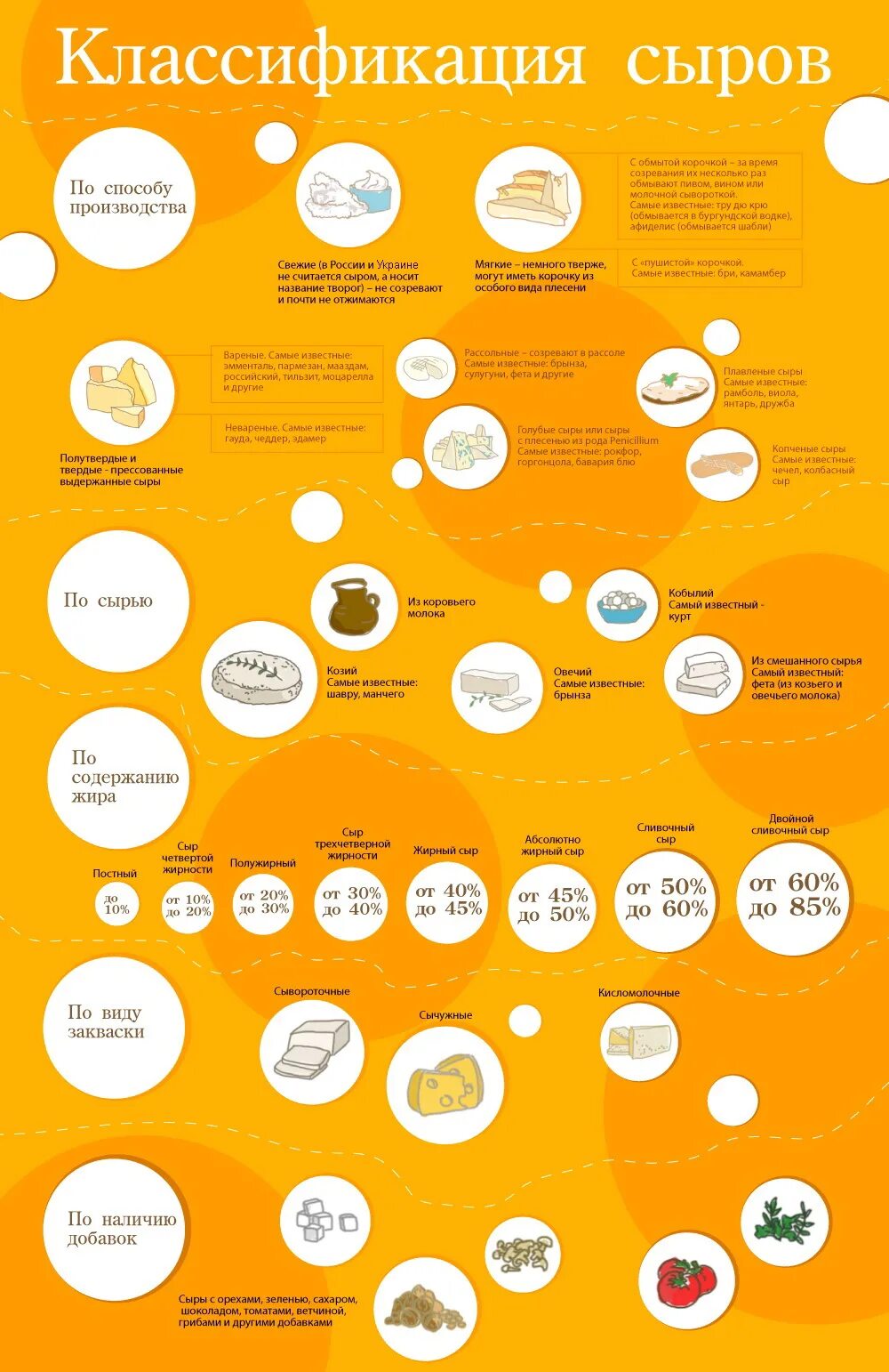 Виды сыра. Классификация сыра. Сыры классификация. Классификатор сыров.