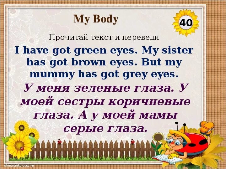 My Mummy has got перевод. My Mummy has got Eyes. My Mummy has got Green Eyes. Вставь Mummy has got Green Eyes.