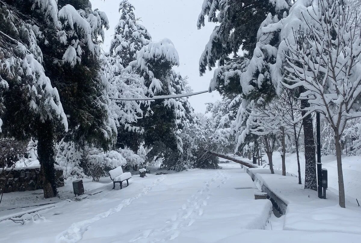 Ташкент январь. Зима в Ташкенте. Заснеженный Ташкент. Снег в Ташкенте. Снег Ташеент.