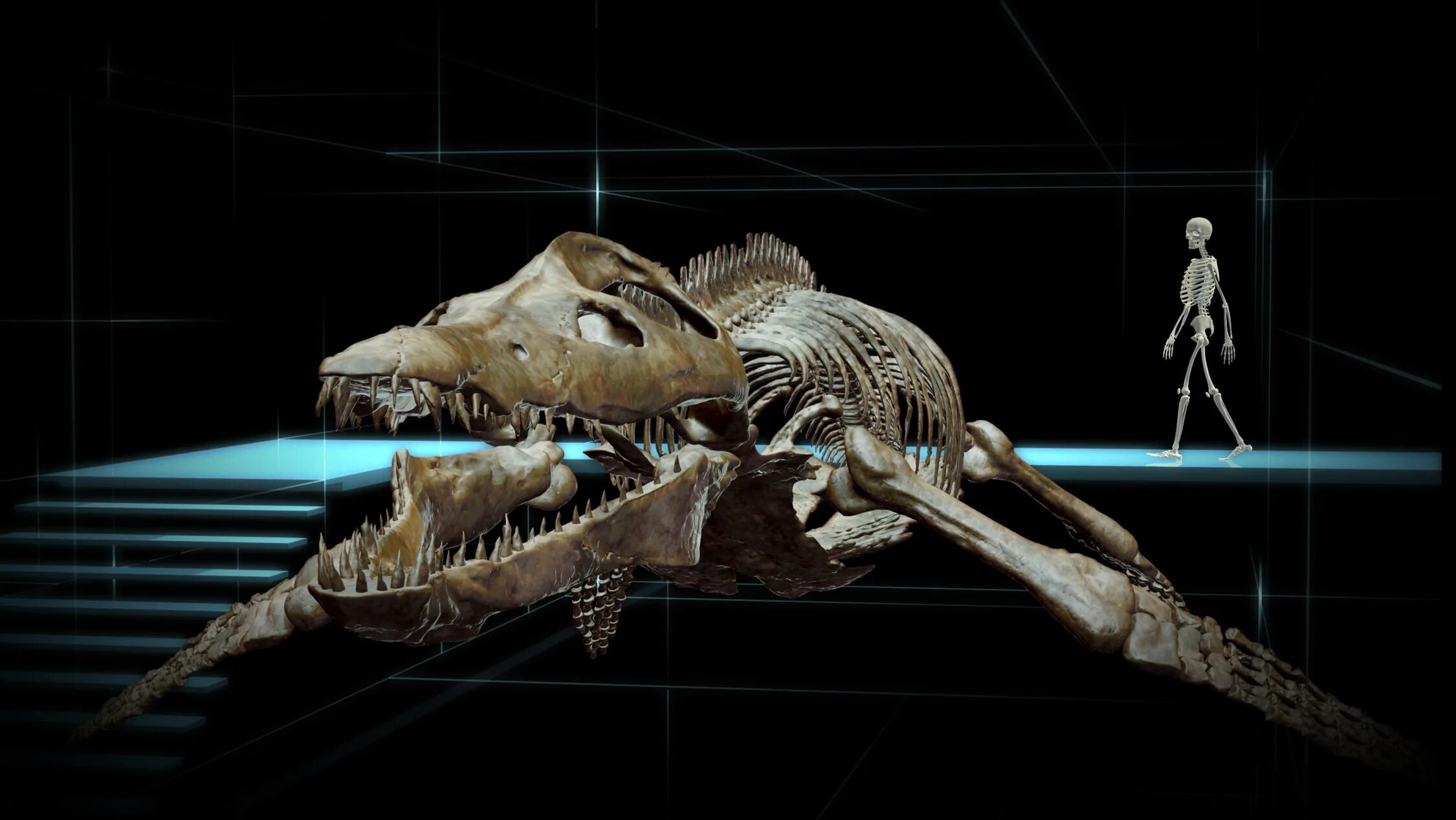 Скелет кронозавра. Дарвиновский музей скелет динозавра. Лиоплевродон скелет.