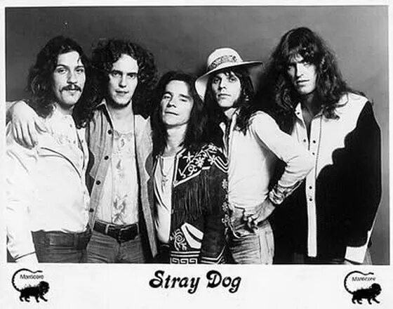 Re down. Stray Dogs группа. Stray Dog (1973). Stray группа Хард рок 1973. Stray Dog 1974 while you're down there.