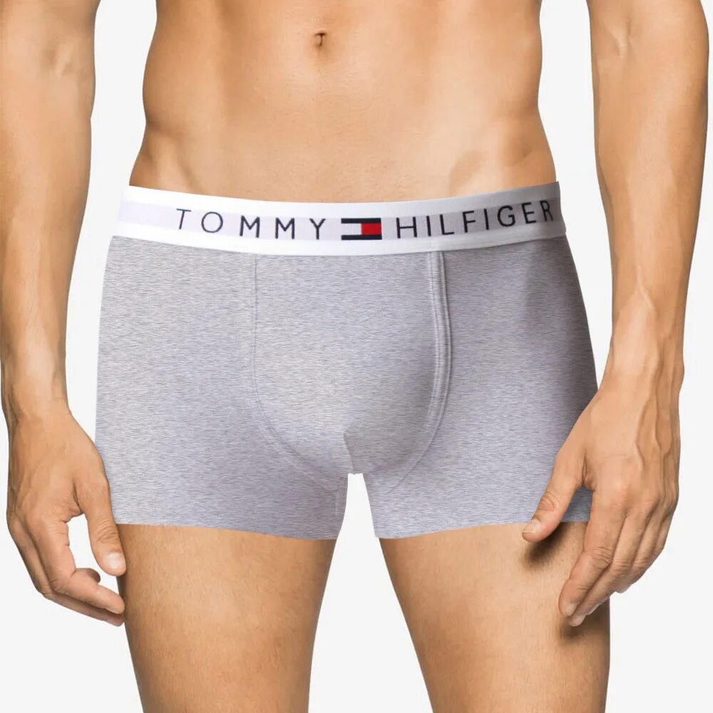 Трусы мужские hilfiger. Трусы боксеры Томми Хилфигер. Боксеры Томми Хилфигер мужские. Трусы Томми Хилфигер мужские. Трусы Томми Хилфигер мужские серые.