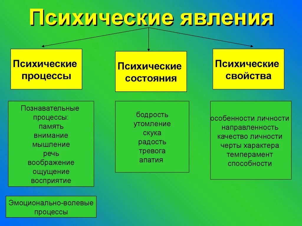 Три группы в соответствии с. Психических явлений (процессы, свойства и состояния) пример. Психологические явления. Психические явления это в психологии. Психологические вяления.