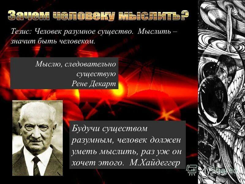 почему человек разумное существо