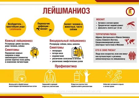 Лейшманиоз