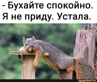 Все устали. #бухайте #спокойно #приду http://idaprikol.ru/fun/KfKKiipG8?s=t...