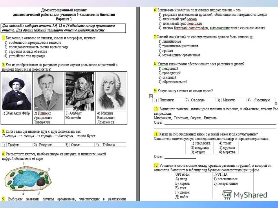 5 задание мцко. Задание тестирование МЦКО. МЦКО для учителей начальной школы. Тесты МЦКО для учителей начальной школы. Тестирование педагогов МЦКО.