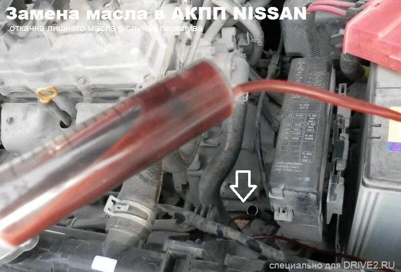 Как проверять масло в акпп ниссан. Nissan Note 2011 щуп АКПП. Альмера Классик автомат щуп. Щуп АКПП Ниссан Пульсар. Щуп АКПП Ниссан ад.