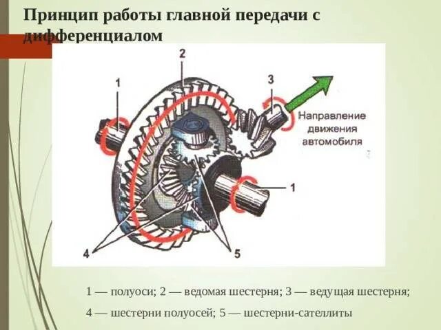 Укажите устройство принцип. Устройство главная передача с проходным валом?. главная передача дифференциальная коробка сателлит. ведущая шестерня главной передачи схема. дифференциал автомобиля схема.