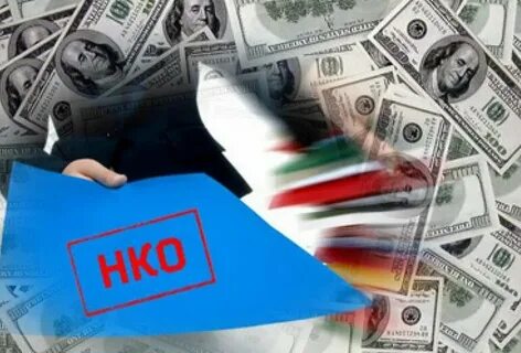 Иностранные некоммерческие организации