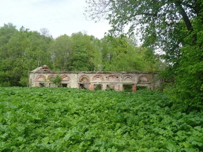 Погода в воронино