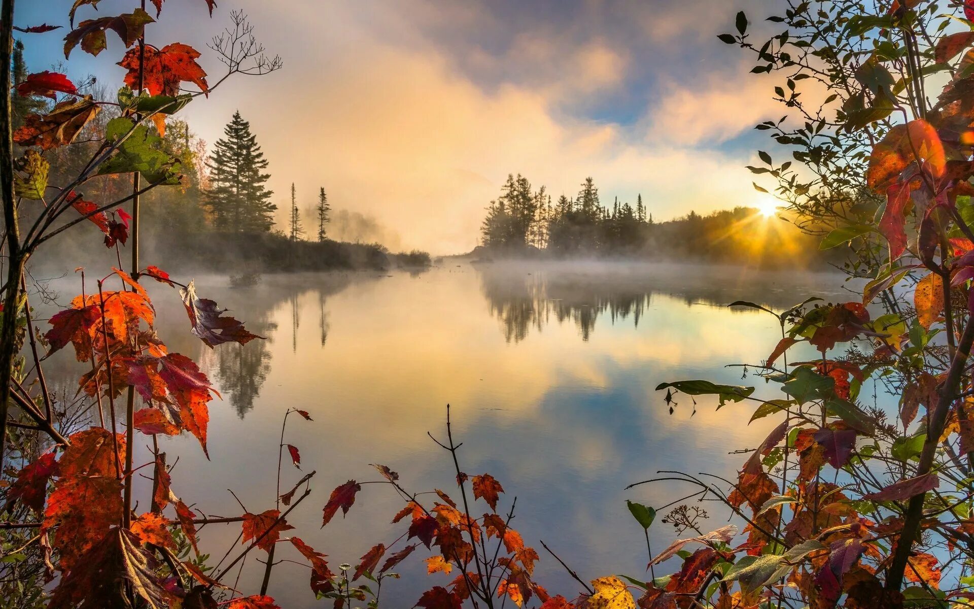 Осень красивое утро картинки. Осеннее озеро. Осенний пейзаж. Природа осень. Красивая осень.
