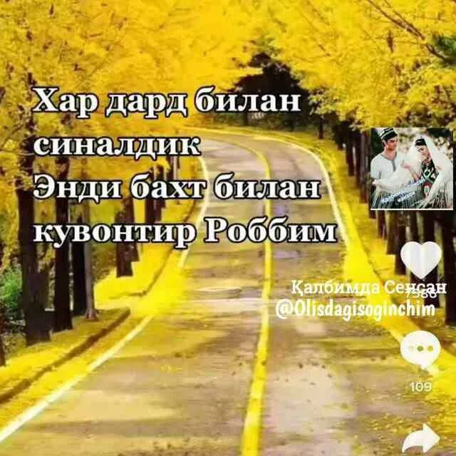 Афоризм расмлар. Мехр картинка. Статуслар. Дуоларим. Калбимда сенсан.