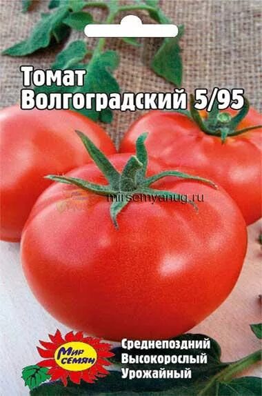 Томат индетерминантный Волгоградский 5/95. Сорт помидор Волгоградский 5/95. Волгоградский 5/95 томат описание. Томат Волгоградский скороспелый. Волгоградский скороспелый 323 характеристика и описание