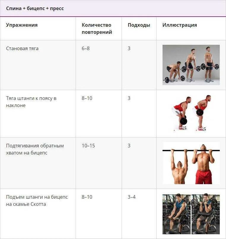 Сколько упражнений текстов. План тренировок в тренажерном зале в схеме. Таблица программы тренировок в тренажерном зале. Тренировки для бицепса план тренировок. План тренировки спина бицепс.