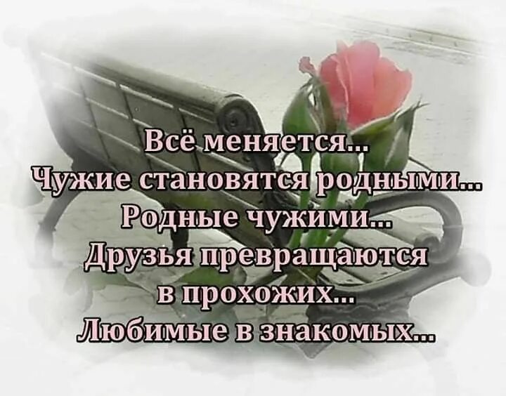 Чужая не бывает. Родные люди становятся чужими цитаты. Родныр становится чужими. Родные становятся чужими а чужие родными стихи. Родные становятся чужими цитаты.