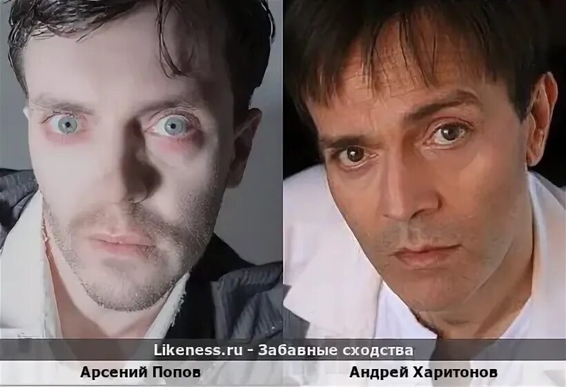 питер уэллер и эд харрис. скала джонсон и дуэйн джонсон. двойник мэтта дэймона. похожи или похоже. похож на тимати.