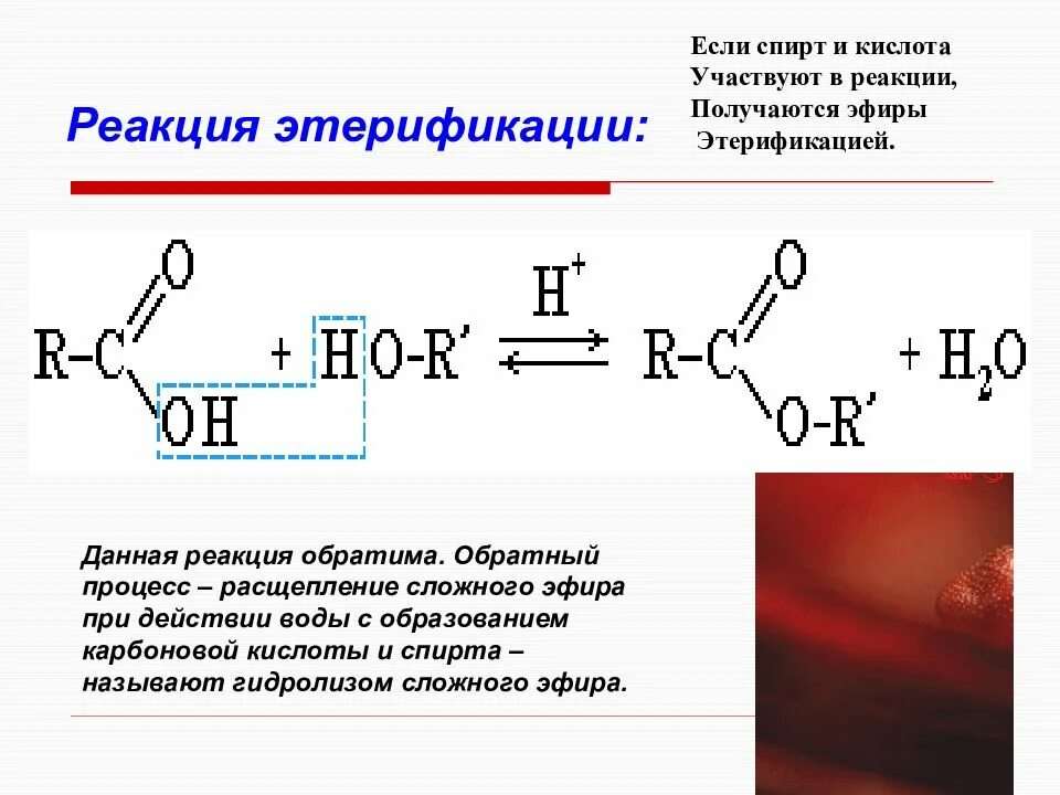 Сложный эфир вода. Реакция этерификации карбоновых кислот. реакция этерификации сложных эфиров. этерификация сложных спиртов. реакция этерификации в органической химии.