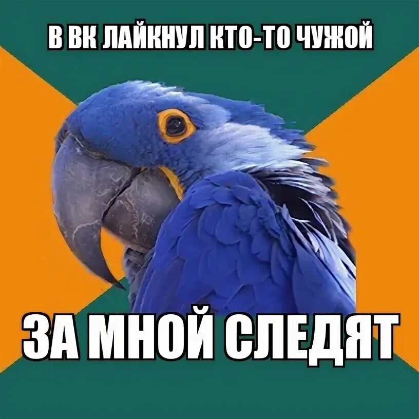 Что делать если бывший следит
