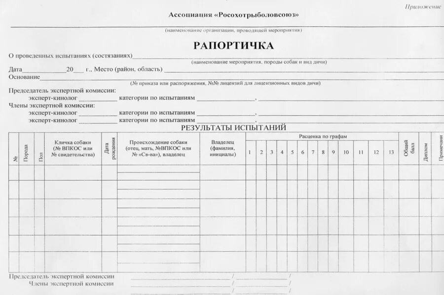 Рапортичка школьная. Рапортичка образец. Рапортичка это. Рапортичка образец. Рапортичка.