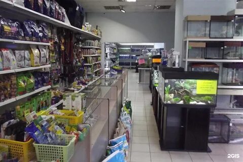 Зоомагазин курск