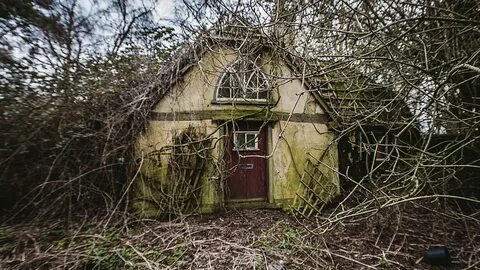 Tv house