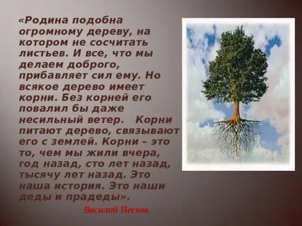 Каждое дерево