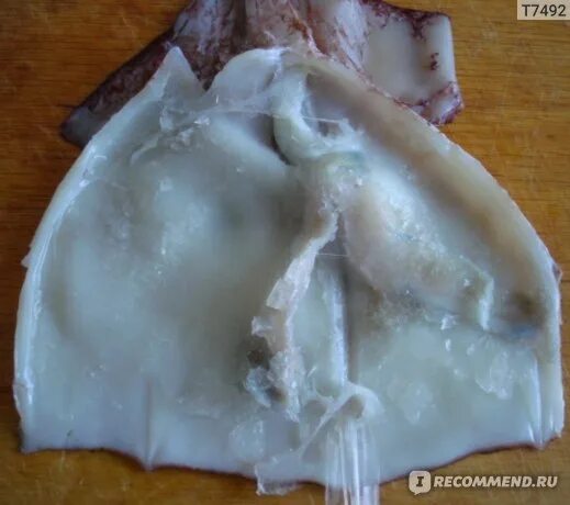 Как выглядят паразиты в кальмаре Рецепты салатов с кальмарами и корейской морковью ::