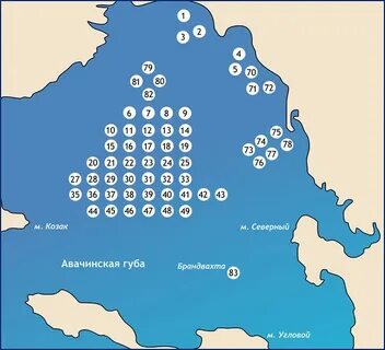 Координаты петропавловска