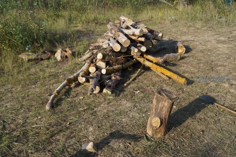 Сухостой древесина. Дрова сухостой. Дрова дубовые. Заготовка дров. Заготовка древесины.