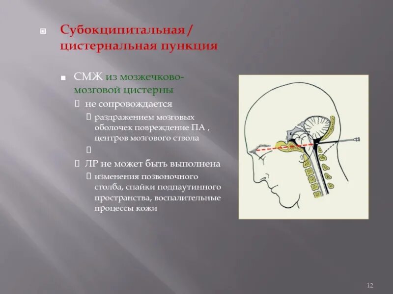 Топография цистерн головного мозга. Мозжечково мозговая цистерна. Цистерны мягкой мозговой оболочки. Подпаутинное пространство головного мозга анатомия. Мозжечково мозговая цистерна.