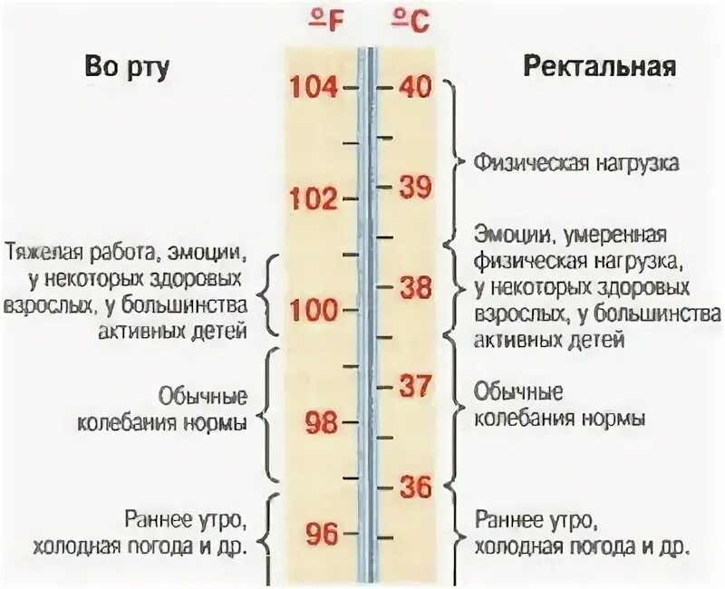 Температура по ночам у взрослого. Норма температуры у взрослого человека. Норма температуры тела у взрослого. Норма температуры по возрасту. Норма температуры тела у женщин.