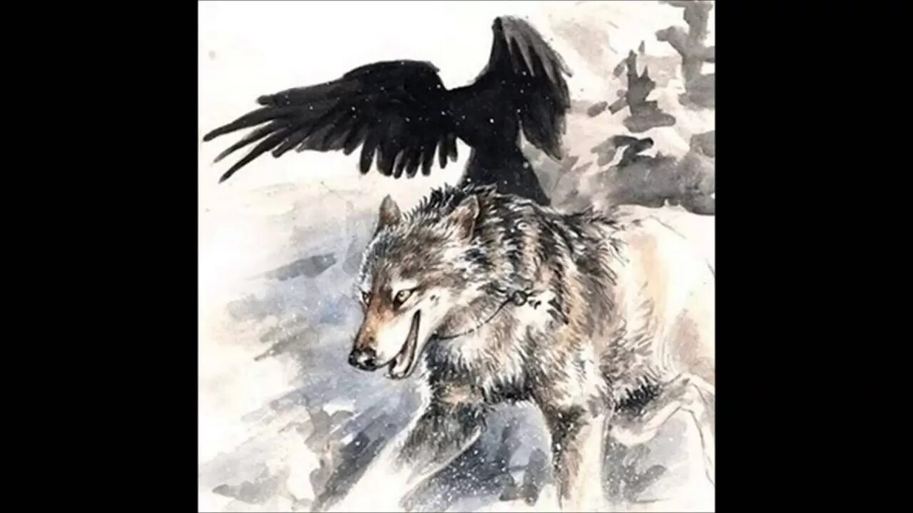 Волки да вороны. Волк и ворон. Волк и ворон звери войны. Иллет звери войны. Волк и ворон картинки.