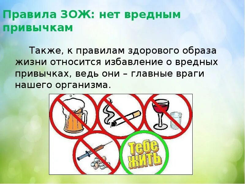 Здоровый образ жизни вредные привычки. Здоровый образ жизни нет вредным привычкам. Правила здорового образа жизни. Главные правила здорового образа жизни.