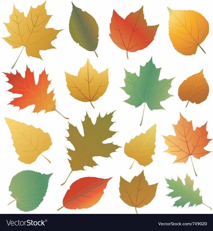 Собрать осенние листья. Осенние листья Графика красивое расположение. Медные осенние листочки в углу. Много листьев рисунок вектор. Осенние листья Графика интересное расположение.