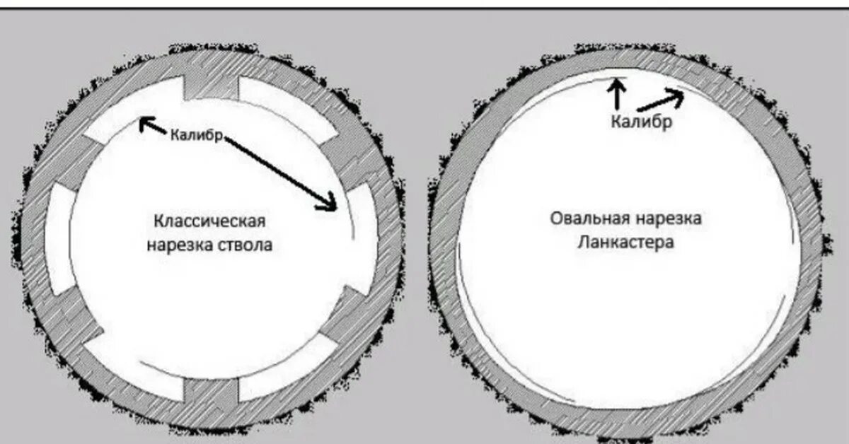 Типы расположения гнилей в стволе Ружьё в деревне или путь охотника (часть 2) покупка ХозБлог Дзен