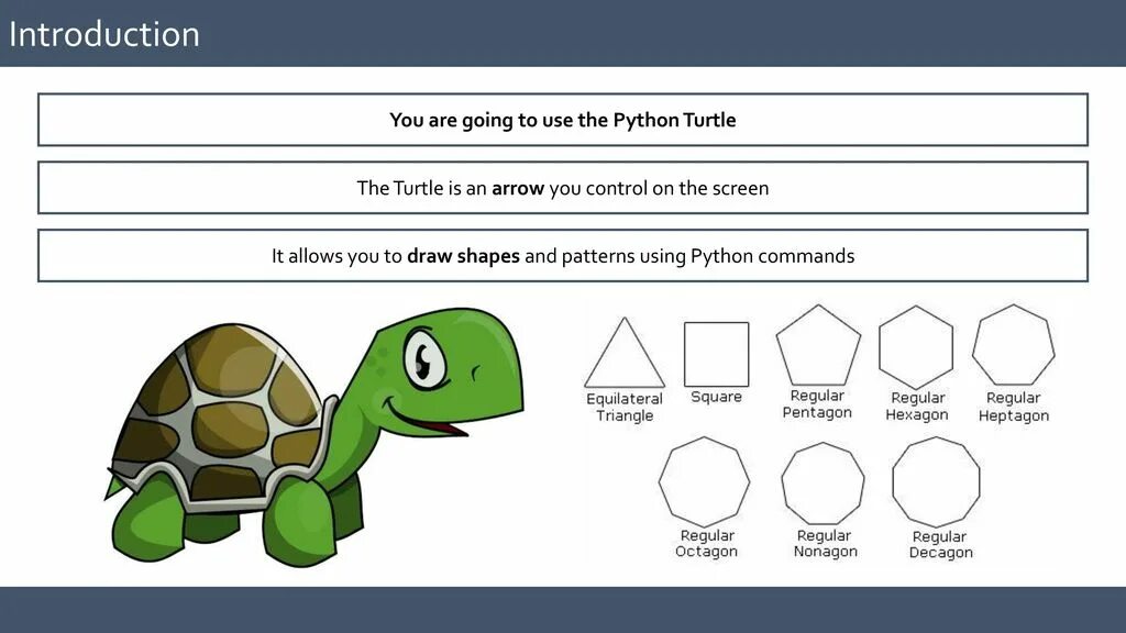 Turtle координаты