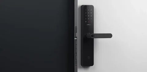 Xiaomi smart door