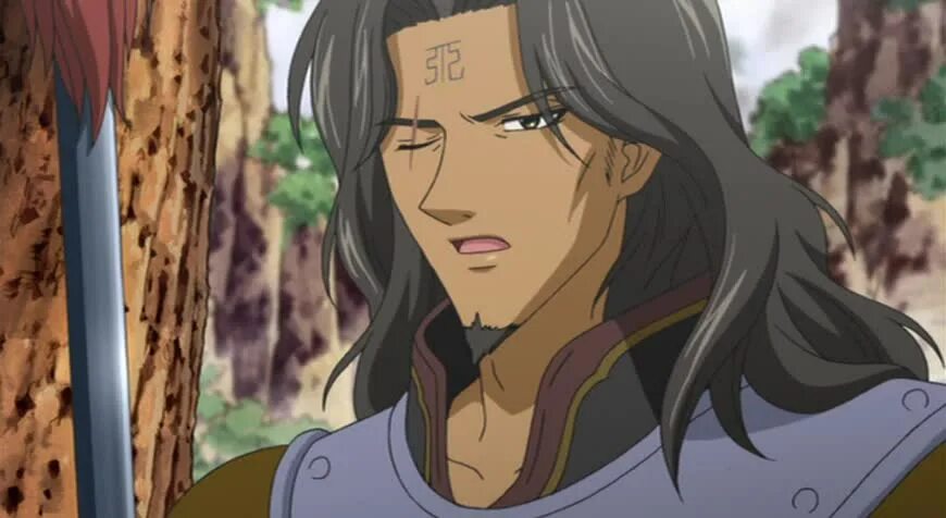 Повесть о стране цветных облаков сюрей. Шурей и рьюки. Повесть о стране 2. Saiunkoku monogatari аниме. The story of saiunkoku аниме.