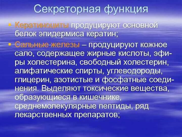 Кератиноцит функции. Функции кератиноцитов. функции кератиноцитов кожи. функции клетки кератиноцитов. защитную роль кератиноцитов.