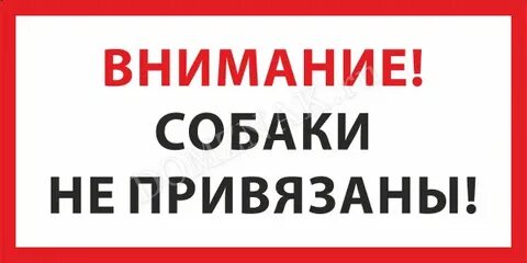 Они не привязаны